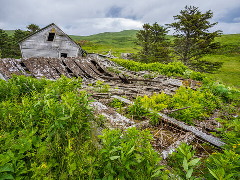 Abandoned wooden house in field