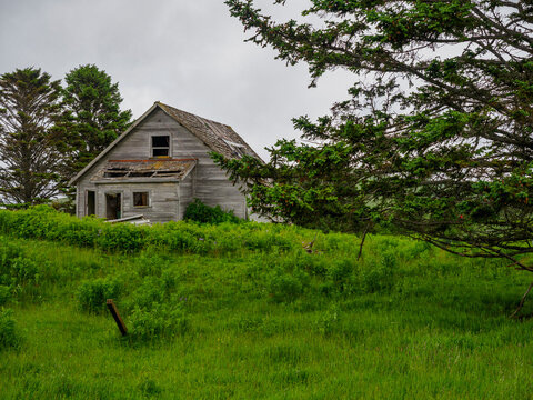 Abandoned wooden house in field