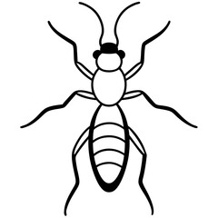 Minimalist Termite Line Art Vector
