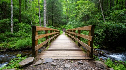 Fototapeta premium Tranquil Wooden Bridge Over a Flowing Stream Surrounded by Lush Green Forest and Vibrant Nature