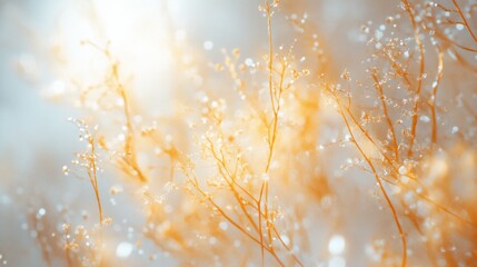 A close-up of amyloid plaques in the brain, focusing on deposits around nerve cells. Featuring Alzheimer's disease