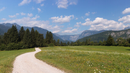 A quiet alpine path in Triglav National Park.
