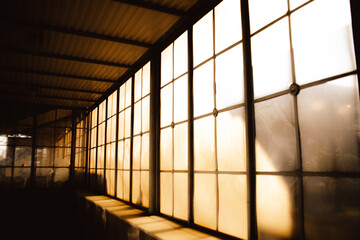 The hall of the railway station has beautiful  windows, through which the sun shines. The...