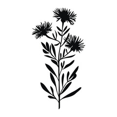 Obraz premium Aster silhouette art illustration vector