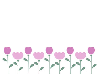 紫色のチューリップのフレーム