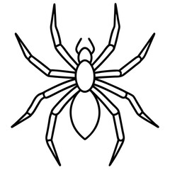 Minimalist Wolf Spider Line Art Vector