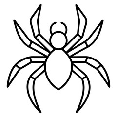 Minimalist Wolf Spider Line Art Vector