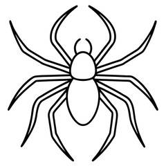 Minimalist Wolf Spider Line Art Vector