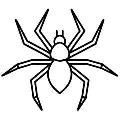 Minimalist Wolf Spider Line Art Vector