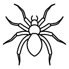Minimalist Wolf Spider Line Art Vector