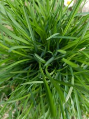 bei momenti presi  dalla nostra natura