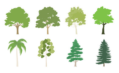 Obraz premium Diverse tree collection isolated illustration, vector set