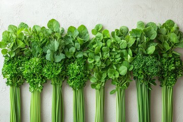 Fresh collection of green vegetables arranged together in a vibrant and healthy display