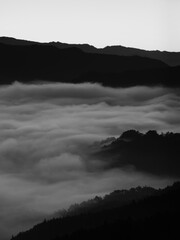 モノクロの雲海
