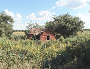 Obraz premium In rural Uganda, a conventional homemade oven is used for brickmaking, where molded clay is stacked and then fired to produce units suitable for construction