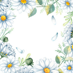 Chamomile, daisy, leaves, petal, bud watercolor frame set illustration isolated white background for congratulations, wedding, greeting, invitation card, print, scrapbooking