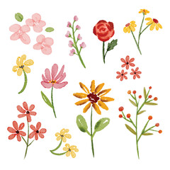 watercolor element vector
