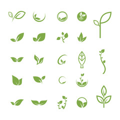 Leaf logo. Collection of eco-friendly nature wood tree style emblem or badge vectors