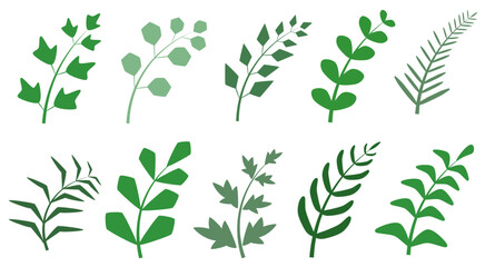 A set of different, green branches on a white background. Plant leaves