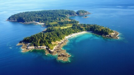 Naklejka premium Aerial perspective of a secluded island featuring a pristine sandy beach surrounded by turquoise waters and lush greenery.