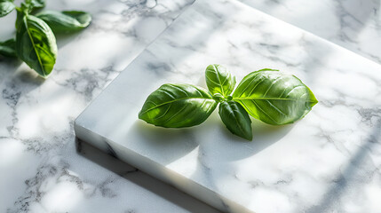 Fresh basil leaves on white marble, bright light. Culinary ingredient, aromatic herb, food styling.