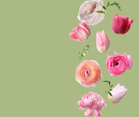 Beautiful spring flowers flying on pastel green background. Space for text