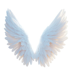Obraz premium 3D White angel wings on transparent background, Dimensional model rendered asset, Angled side view, bird feather design natural angelic flying