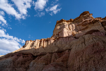 Golden Mongolian Steppe with Soft Light