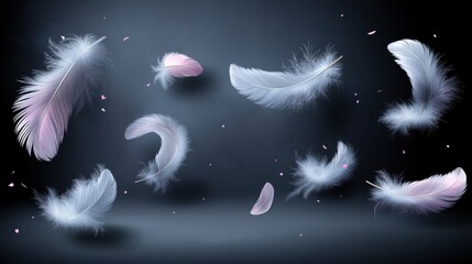 Obraz premium Elegant White and Pink Feathers Floating on a Gradient Gray Background with Soft Lighting