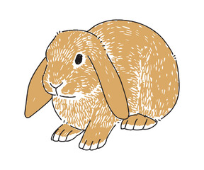 垂れ耳うさぎの手書きイラスト