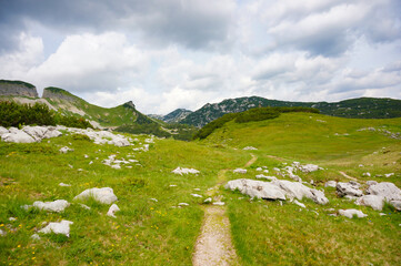 Footpath in the middle of beautiful Austrian Hills © Everyday Frame