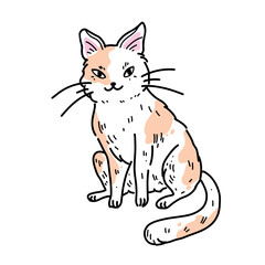 Vector illustration with a cute fluffy sitting white and orange cat with a sweet smile. Kawaii funny pet stickers on white background
