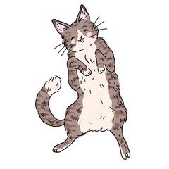 Vector illustration with a cute fluffy striped gray cat lying down with its tongue hanging out. Funny pet Kawaii sticker on white background