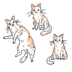 Vector illustration of a set with three cute white and orange cats lying on their backs, sitting, sleeping and smiling sweetly. Funny stickers of funny pets