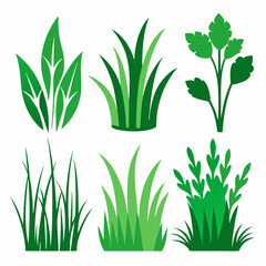 doodles of grass silhouette vector.. green grass isolated on white