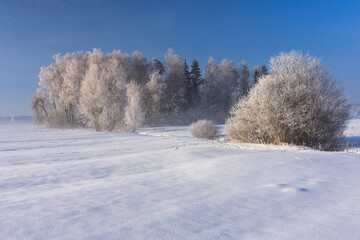 Beautiful landscape of the frozen meadow with trees in Podhale at winter. Poland
