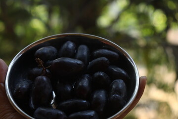 blueberries in a bowl