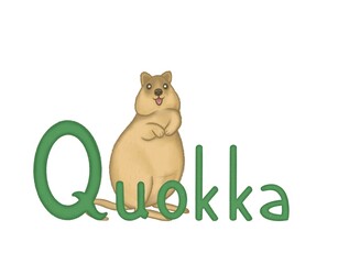 Illustration for kids alphabet with cute quokka on white background. Letter Q