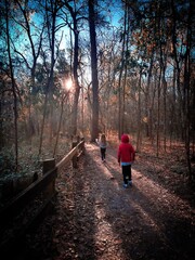 Obraz premium walk in the park Devils Millhopper State Park in Gainesville, FL
