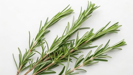 Fototapeta premium Rosemary Sprigs on White Background