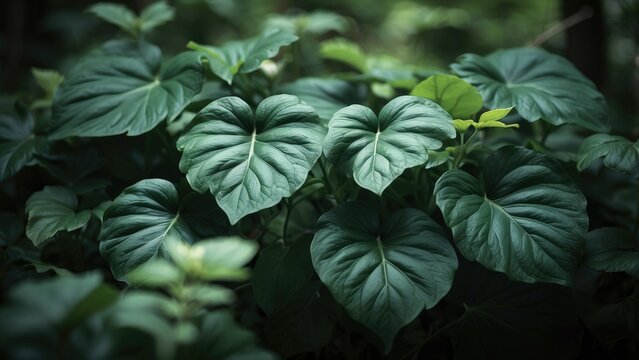 "Abstract Tropical Leaf Texture - Vintage Green Nature Background for Wallpaper" - Powered by Adobe