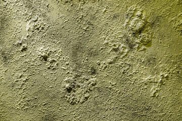 Texture of golden decorative plaster or concrete. Grunge background for design.