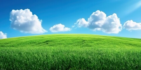 Vibrant green grass under a bright blue sky with fluffy clouds.