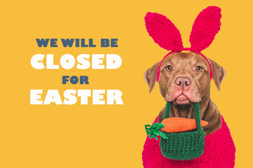 We will be closed for Easter. Signboard. Cute dog. Closeup, studio shot, indoors. Day light. Congratulations for family, loved ones, relatives, friends and colleagues. Pets care concept