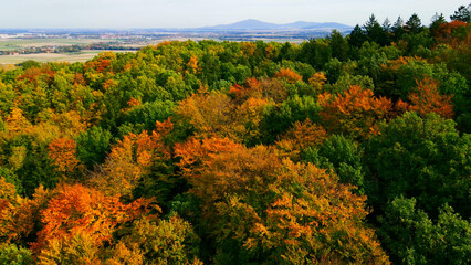 autumn landscape view from above hill forest