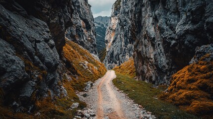 Scenic Rocky Path between Tall Mountain Cliffs in Beautiful Nature