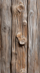  consistent soft grain