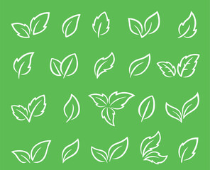 Hand drawn art green linear leaves and branches set