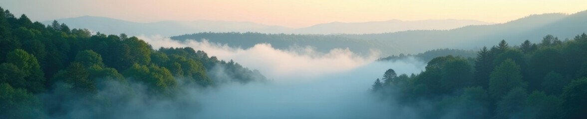 Fototapeta premium Gentle morning fog rolling in over a still forest, calm, natural world