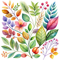 Hand drawn watercolor floral leaves isolated on transparent background. flower art on watercolor.